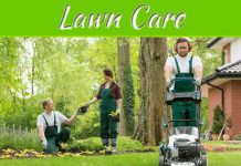 Top Secrets Why Hiring A Professional Lawn Care Service Provider Is the Only Option Top Secrets Why Hiring A Professional Lawn Care Service Provider Is the Only Option