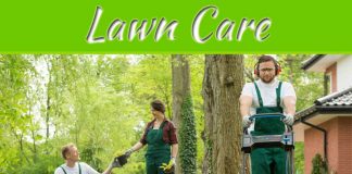Top Secrets Why Hiring A Professional Lawn Care Service Provider Is the Only Option Top Secrets Why Hiring A Professional Lawn Care Service Provider Is the Only Option