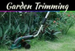 4 Easy Garden Trimming Techniques For A Neat And Healthy Lawn 4 Easy Garden Trimming Techniques For A Neat And Healthy Lawn