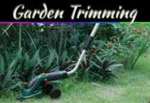 4 Easy Garden Trimming Techniques For A Neat And Healthy Lawn 4 Easy Garden Trimming Techniques For A Neat And Healthy Lawn