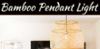 5 Reasons Why You Need Bamboo In Your Home 5 Reasons Why You Need Bamboo In Your Home