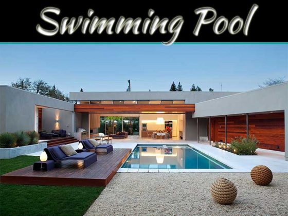 Perfect Swimming Pool My Decorative