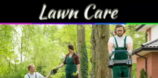 5 Benefits Of Hiring Lawn Care Professionals For A Healthier Yard 5 Benefits Of Hiring Lawn Care Professionals For A Healthier Yard