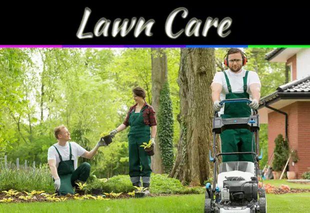 5 Benefits Of Hiring Lawn Care Professionals For A Healthier Yard
