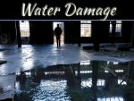 Benefits Of Professional Water Damage Service Benefits Of Professional Water Damage Service