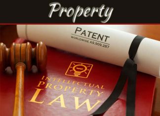 Choosing A Career In Intellectual Property Law Choosing A Career In Intellectual Property Law