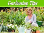 Elderly Gardening Tips For Keeping You Safe Elderly Gardening Tips For Keeping You Safe
