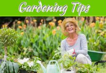 Elderly Gardening Tips For Keeping You Safe Elderly Gardening Tips For Keeping You Safe