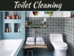 How To Clean A Toilet Seat? How To Clean A Toilet Seat?