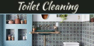 How To Clean A Toilet Seat? How To Clean A Toilet Seat?