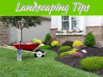 Landscaping Tips For Making Your Home More Energy-Efficient Landscaping Tips For Making Your Home More Energy-Efficient
