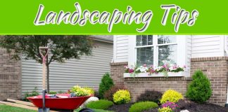 Landscaping Tips For Making Your Home More Energy-Efficient Landscaping Tips For Making Your Home More Energy-Efficient