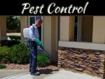 Pest Control Management Tips For Your Lawn Or Home Garden Pest Control Management Tips For Your Lawn Or Home Garden
