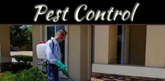 Pest Control Management Tips For Your Lawn Or Home Garden Pest Control Management Tips For Your Lawn Or Home Garden