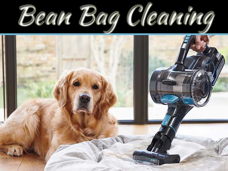 The Easiest Way To Clean A Bean Bag My Decorative