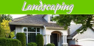 Best Method Of Preparing A Yard For Landscaping Best Method Of Preparing A Yard For Landscaping