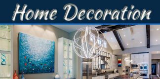 Home Decoration: It Utterly Depends Upon The Curiosity Of The Person! Home Decoration: It Utterly Depends Upon The Curiosity Of The Person!