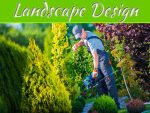 How Do You Create Successful Landscape Design In Florida? – From A Sarasota Landscape Designer How Do You Create Successful Landscape Design In Florida? - From A Sarasota Landscape Designer