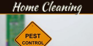 Pest Control And Prevention Tips: Advice On Pest Control Pest Control And Prevention Tips: Advice On Pest Control