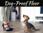 The Best Dog-Proof Flooring For Your Home The Best Dog-Proof Flooring For Your Home