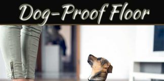 The Best Dog-Proof Flooring For Your Home The Best Dog-Proof Flooring For Your Home