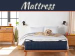Twin Vs. Full Mattress: What Is Ideal For You Twin Vs. Full Mattress: What Is Ideal For You