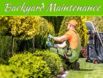 5 Year-Round Backyard Maintenance Tips 5 Year-Round Backyard Maintenance Tips