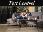 Silverfish Can Be A Sign Of Bigger Problems – Ways To Liquidate Them Silverfish Can Be A Sign Of Bigger Problems - Ways To Liquidate Them