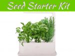 What Is A Seed Starter Kit? What Is A Seed Starter Kit?