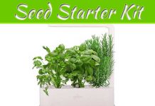 What Is A Seed Starter Kit? What Is A Seed Starter Kit?