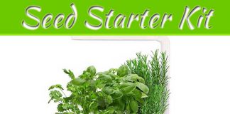 What Is A Seed Starter Kit? What Is A Seed Starter Kit?