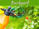 6 Natural Pest Control Methods For A Bug-Free Backyard 6 Natural Pest Control Methods For A Bug-Free Backyard
