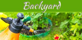 6 Natural Pest Control Methods For A Bug-Free Backyard 6 Natural Pest Control Methods For A Bug-Free Backyard