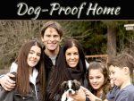 9 Smart Ways To Dog-Proof Your Home For A New Furry Friend 9 Good Ways To Dog-Proof Your Home When You Get A New Dog
