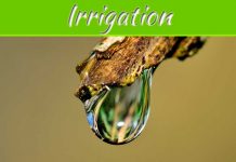 Do You Prefer Irrigation For Your Australian Garden? Do You Prefer Irrigation For Your Australian Garden?