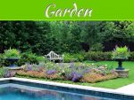 Fashionable Garden Ideas For This Summer Fashionable Garden Ideas For This Summer