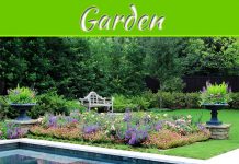 Fashionable Garden Ideas For This Summer Fashionable Garden Ideas For This Summer