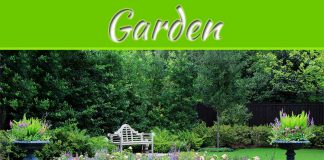 Fashionable Garden Ideas For This Summer Fashionable Garden Ideas For This Summer