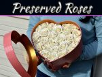 Why Preserved Roses Are The Best Choices For Your Wedding? Why Preserved Roses Are The Best Choices For Your Wedding?