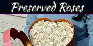 Why Preserved Roses Are The Best Choices For Your Wedding? Why Preserved Roses Are The Best Choices For Your Wedding?