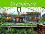 5 Gardening Tips To Maximize A Small Greenhouse 5 Gardening Tips To Maximize A Small Greenhouse