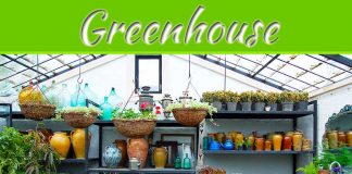 5 Gardening Tips To Maximize A Small Greenhouse 5 Gardening Tips To Maximize A Small Greenhouse