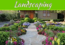 5 Landscaping Ideas To Improve The Curb Appeal Of Your Home 5 Landscaping Ideas To Improve The Curb Appeal Of Your Home
