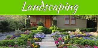 5 Landscaping Ideas To Improve The Curb Appeal Of Your Home 5 Landscaping Ideas To Improve The Curb Appeal Of Your Home