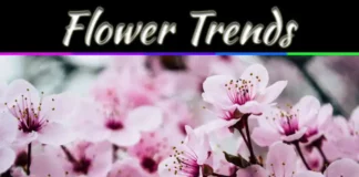 The Flower Trends For 2021: Here They Are The Flower Trends For 2021: Here They Are