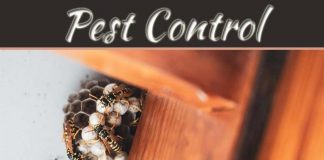 The Pests You Certainly Don’t Want In Your Home The Pests You Certainly Don't Want In Your Home