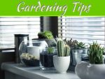 Top 10 Gardening Tips For Beginners
