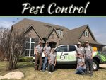 What Should You Check Before Calling Professionals For Pest Control? What Should You Check Before Calling Professionals For Pest Control?