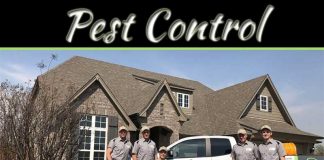 What Should You Check Before Calling Professionals For Pest Control? What Should You Check Before Calling Professionals For Pest Control?