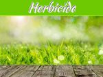 Why You Should Consider Using A Fast Acting Herbicide Why You Should Consider Using A Fast Acting Herbicide